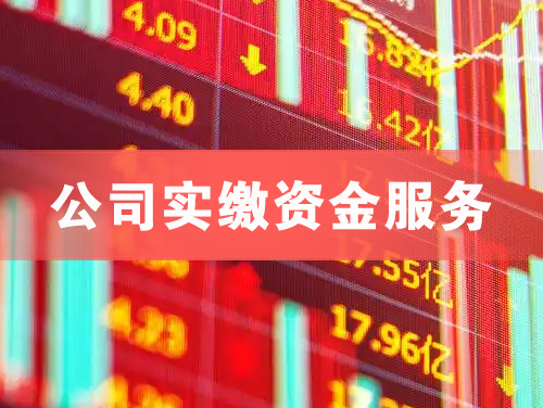 安陆公司实缴资金服务